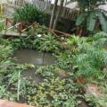 DSC03075.JPG