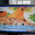DSCN5093.JPG
