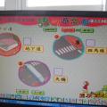 DSCN5108.JPG