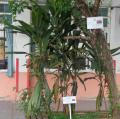 DSC00242.JPG