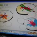DSCN5143.JPG