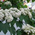 DSC00151.JPG