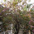 DSC00154.JPG