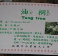 DSC02426.JPG
