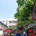 DSC03320.JPG