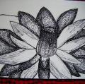 DSCF7136