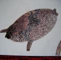 DSCF7140