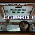 IMAG0054