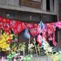 DSC00174.JPG
