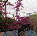 DSC00205