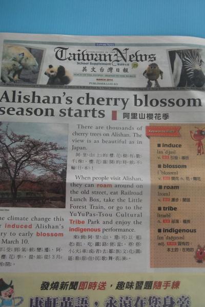 Alishan's cherry blossom