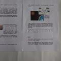DSC00242.JPG