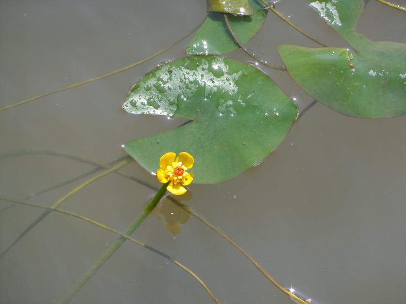 DSC00509