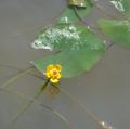 DSC00509