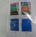 DSC03379.JPG
