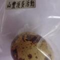 DSC02541.JPG