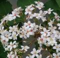 DSC02518.JPG