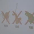 san 014.JPG