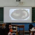 san 090.JPG
