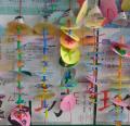 DSC02560.JPG