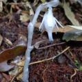 DSC02932.JPG