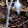 DSC02933.JPG