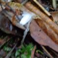 DSC02934.JPG