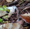 DSC02937.JPG
