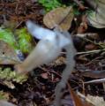 DSC02938.JPG