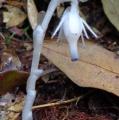DSC02939.JPG