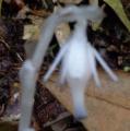 DSC02940.JPG