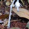 DSC02941.JPG