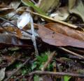 DSC02942.JPG