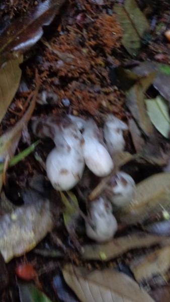 DSC02944.JPG