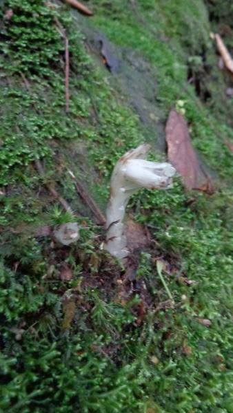 DSC02955.JPG