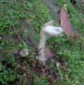 DSC02955.JPG