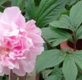 DSC02866.JPG
