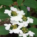 DSC02859.JPG
