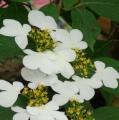 DSC02860.JPG