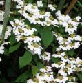 DSC02876.JPG