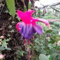 DSC02843.JPG