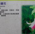 DSC02845.JPG
