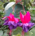 DSC02857.JPG