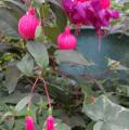 DSC02858.JPG