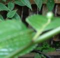 DSC02872.JPG