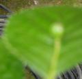 DSC02873.JPG