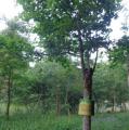 DSC02904.JPG