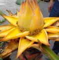 DSC02837.JPG