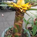 DSC02839.JPG