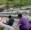 DSC05055.JPG